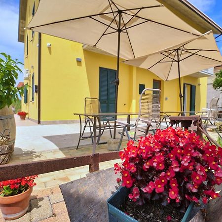 La Casa Del Vino - B&B Tollo Exterior foto