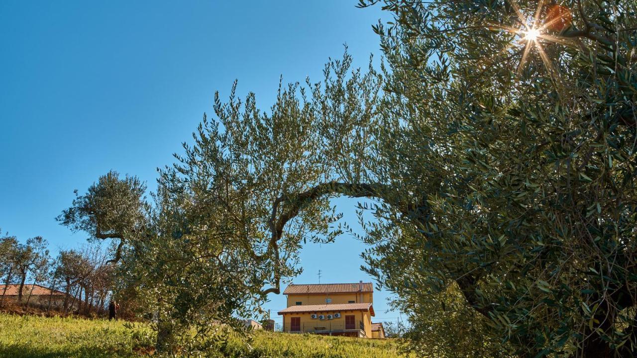 La Casa Del Vino - B&B Tollo Exterior foto